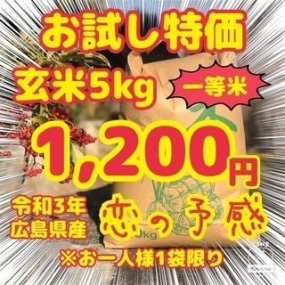 🍚🥢お試し特価 🌾玄米5kg  🉐1,200円 🥇一等米  ❤️...
