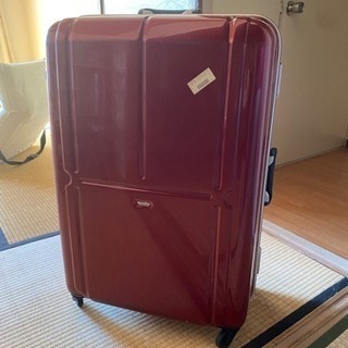 10日間用スーツケース