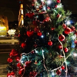 クリスマスツリー　2.5メートル