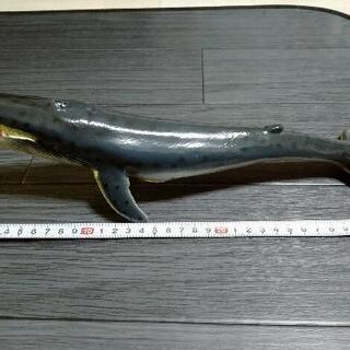 体長32cm　ナガスクジラ　ソフビ　フィギア