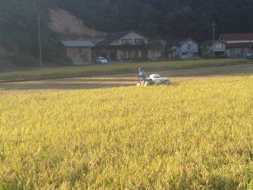 値下げしました！】5袋まとめてお得◎ 令和2年産 島根県