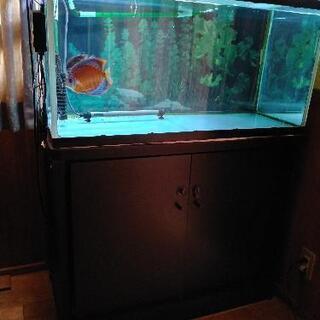 F617pnra6le1mm