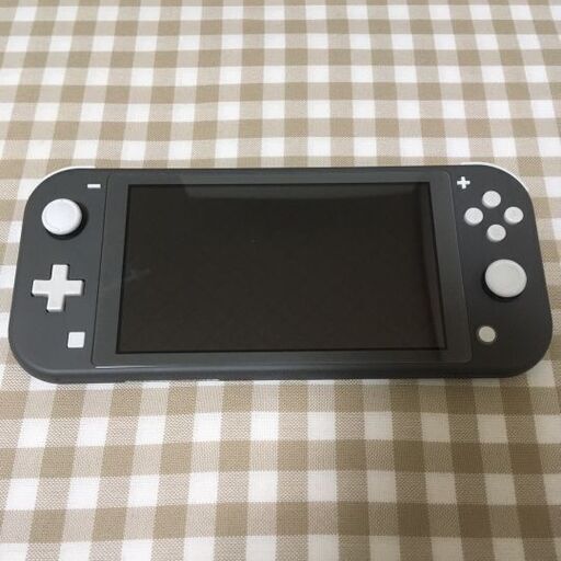 Switchlight中古品