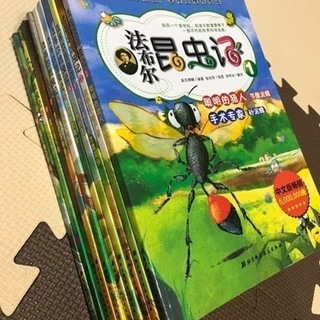 0円　中国語絵本10冊　昆虫絵本