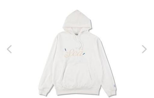 ウインダンシー wind and sea スニーカーダンクコラボパーカー