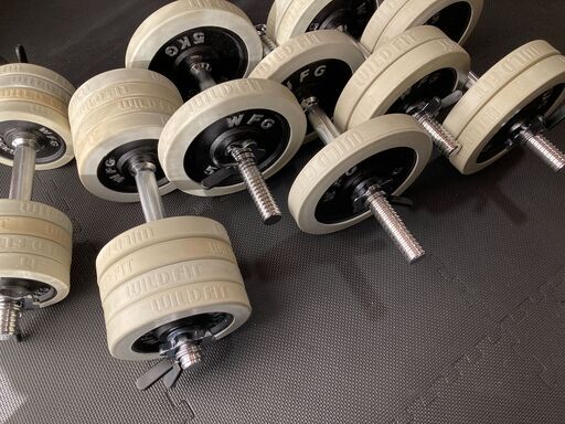 ダンベルセット60kg+40kg+追加シャフト2本WILD FIT ワイルドフィット