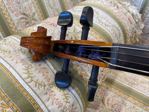 【愛品館八千代店】STENTOR Student Ⅱ　15.5インチ　ヴィオラ 愛品館八千代店】STENTOR Student Ⅱ 15.5インチ ヴィオラ