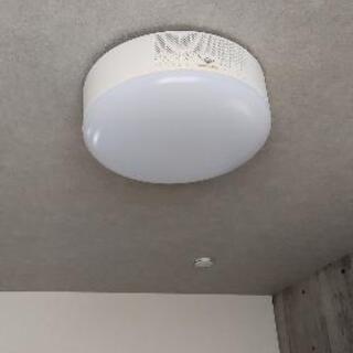 【お値下げしました】ポップインアラジン