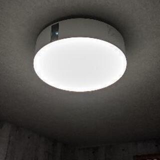 【お値下げしました】ポップインアラジン