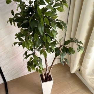 人工観葉植物　ベンジャミン　130cm