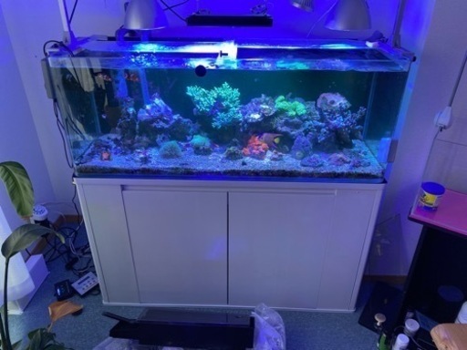 水槽セット値下げ　（決まりました）