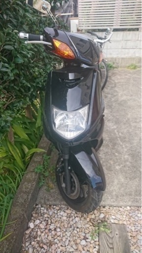 シグナスse12j