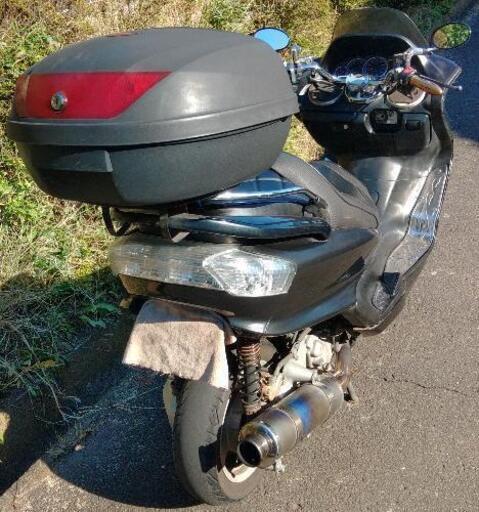 マジェスティ2型後期 (1516)