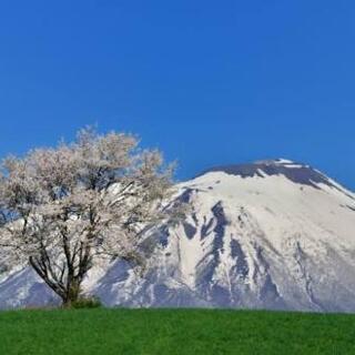 女性 メンタルぐる 東北地方