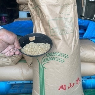 宿場町矢掛町で採れた無農薬玄米　令和5年　新米取れました。
