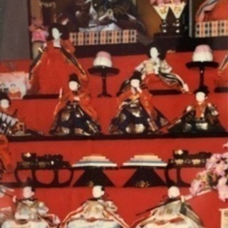 ひな人気 七段かざり もうすぐひな祭り‼️本日明日限定価格