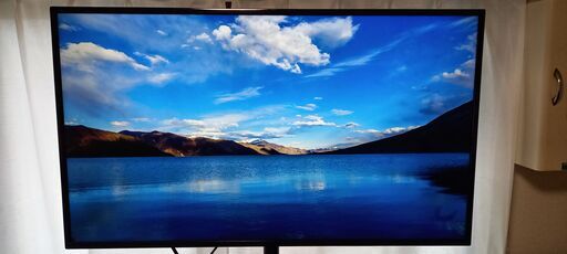 IODATA EX-LD4K491DB [4K対応49型液晶ディスプレイ]キャスター付きスタンド　2019年製