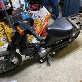 バーディー50