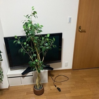 観葉植物　フェイク　約150 大型　ニトリ