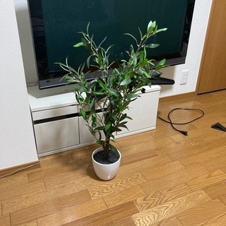 観葉植物　オリーブ　フェイク　約80センチ