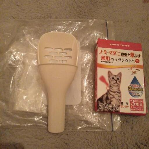 砂蚤