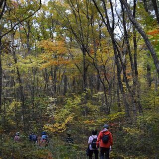 地形学の専門家と歩く 「青葉の森の成り立ちツアー／三居沢編」