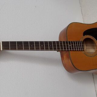 アコギ アイバニーズ ドレッドノートAW3000 良品