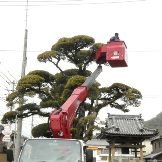 庭木剪定など、広島県代表の樹木の医者、剪定士が承ります！