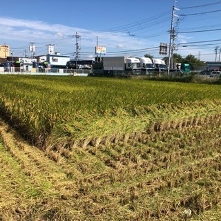 残り僅か ★ 美味‼️ピカピカの新米！ 令和3年度産 / 自家消...