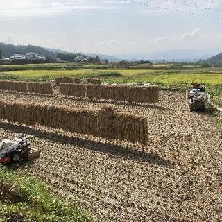 【ネット決済】令和3年度産　上田市真田町産　コシヒカリ30kg