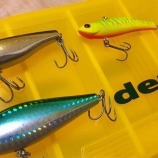 シーバスタックル（青物にも使えます)