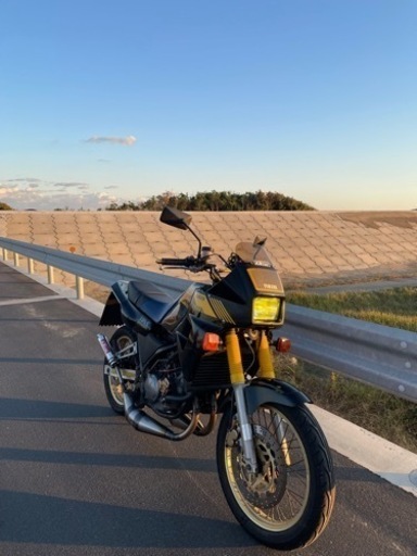超カスタム ‼️ヤマハTDR250 旧車
