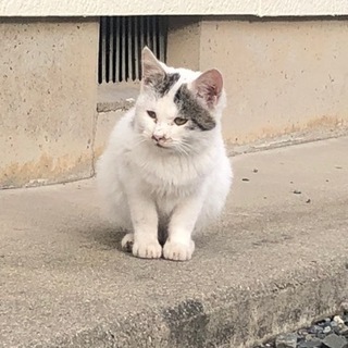 人懐っこいおチビちゃん − 埼玉県