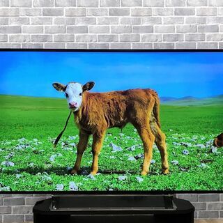 【ハッピー西葛西店】液晶テレビ　55インチ　REGZA[レグザ]...