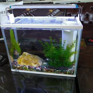 水槽フルセット | campinglacaletilla.cl