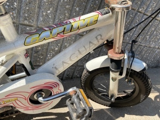 ジャガー 自転車 子供
