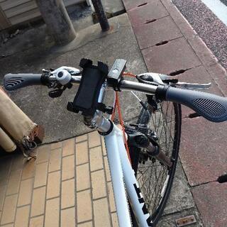 決まりましたＧＩＡＮＴ　白