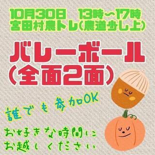 10/30(土)みんなでバレーやりましょう😺誰でも参加可能💡