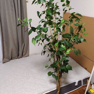 観葉植物フェイクグリーン