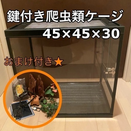 【引き取り限定】爬虫類ケージ【おまけ付き】
