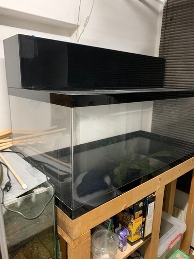引き取り決定しましたので終了します。120cmアクリル水槽セット