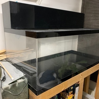 引き取り決定しましたので終了します。120cmアクリル水槽セット