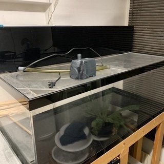 引き取り決定しましたので終了します。120cmアクリル水槽セット