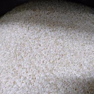 令和４年 もち米白米1キロ 自然栽培  