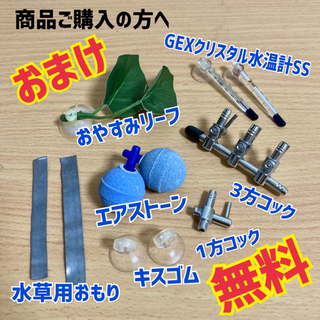 商品ご購入のお客様のみ アクア用品おまけ すこみち 岡山のその他の中古あげます 譲ります ジモティーで不用品の処分