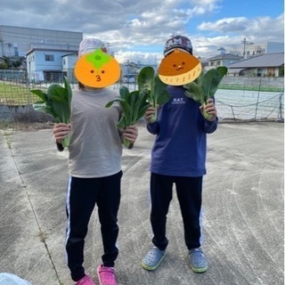 【毎週土曜日開催】盛り盛りに詰め放題！野菜の収穫体験 - 高松市
