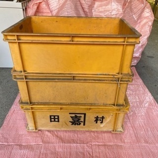 黄色いサンボックス【3箱まとめて！】