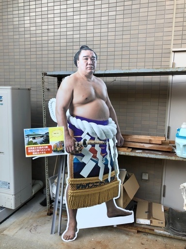 日馬富士パネル
