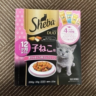 シーバ子猫用・未開封