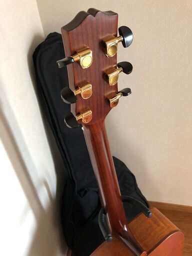 SX DG-LTD2 CUSTOM GUITARS 社外ソフトケース付属・音出し確認済 SX DG-LTD2 CUSTOM GUITARS 社外ソフトケース付属・音出し確認済